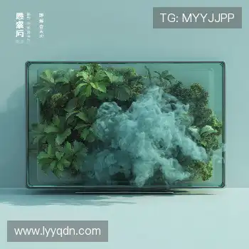 领先的市场定位能力